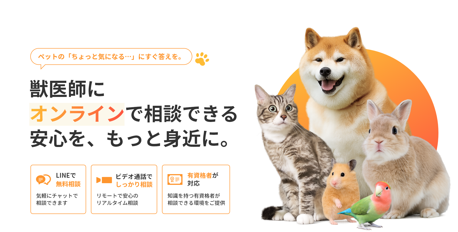 動物たちが横並びになっている
