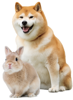 ペットコンパス